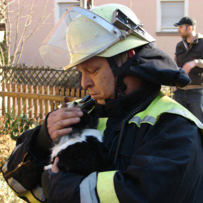 Der Hase wurde unverletzt geborgen